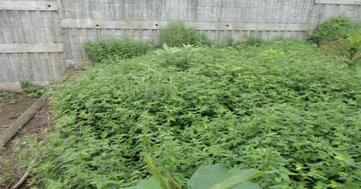 Venta de Casa o Casas, Terrenos, Propiedades, Apartamentos, Inmuebles en Guatemala, zona 11, zona 7, zona 2, zona 18, zona 16, Mixco, Carretera Al Salvador, Fraijanes, Santa Catarina Pinula, Antigua Guatemala, Villa Nueva, Villa Canales, San Miguel Petapa - Venta o Alquiler de Casas En Guatemala